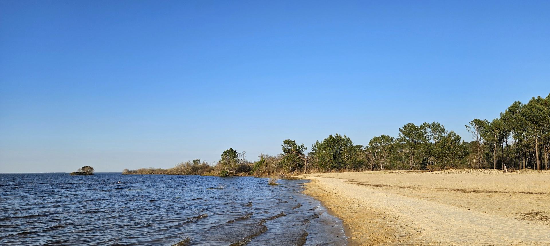 Plage de sable au bord du lac, bordée de pins