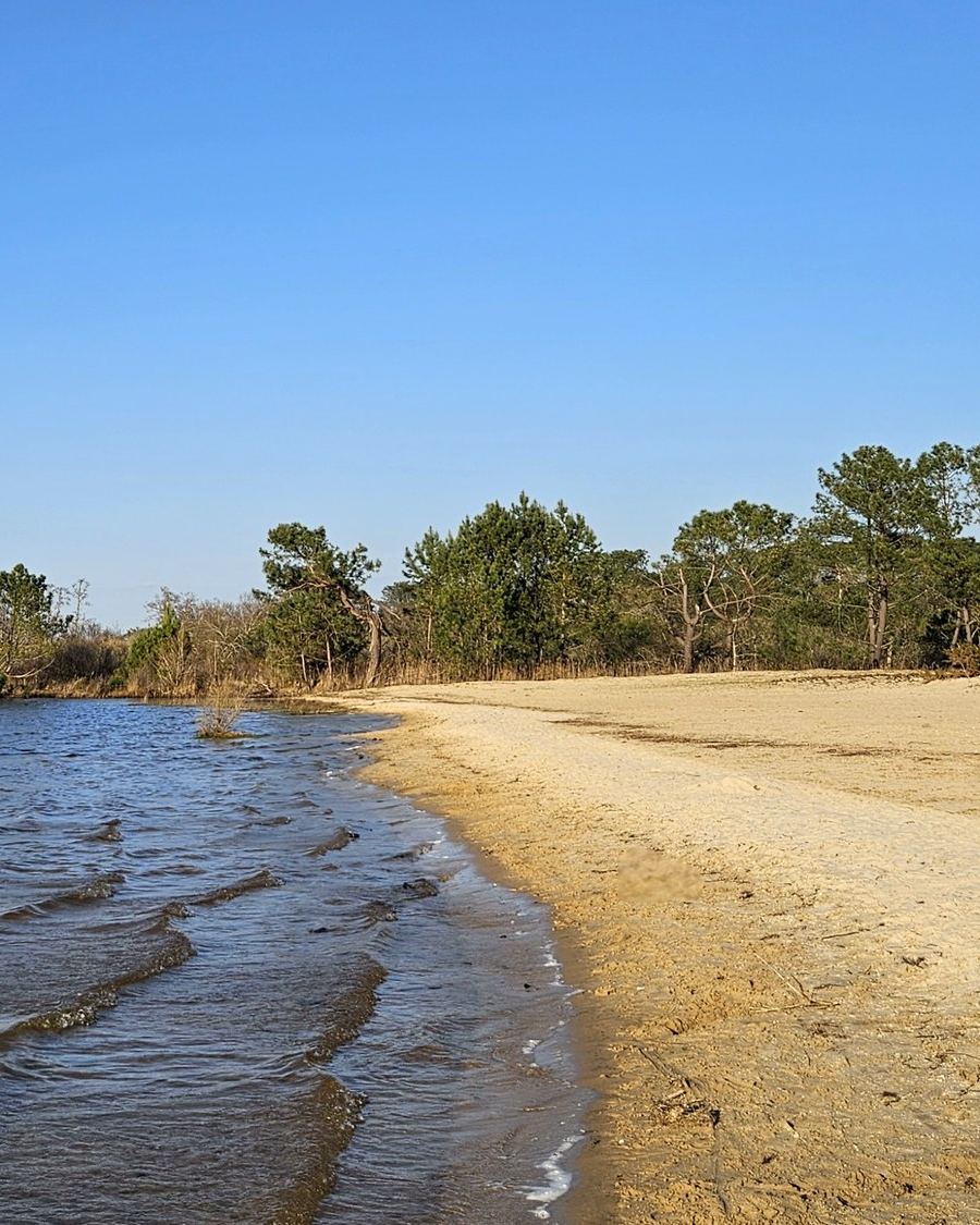 Le lac de Navarrosse, sa plage de sable et ses pins